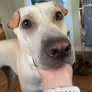 Meet your Posher, Arielle